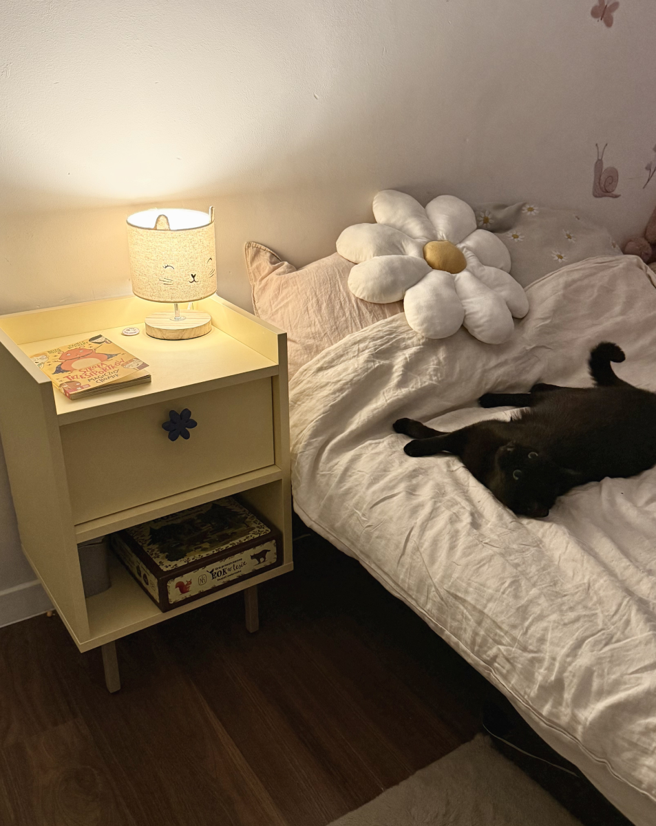 SIGI KIDS SNS01K Nachttisch mit Schublade und Regal