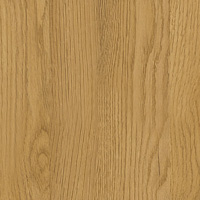 Luminous Oak